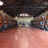 Wine Tours in Argentina & Chile / 10 days