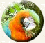 Escorted Fixed Departure Group Tour