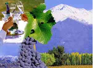 Wine Region Of Mendoza Tour