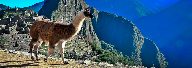 Deluxe Machu Picchu, Amazon Cruise and Galapagos Cruise