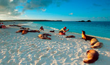 GALAPAGOS  TOURS & TRAVEL